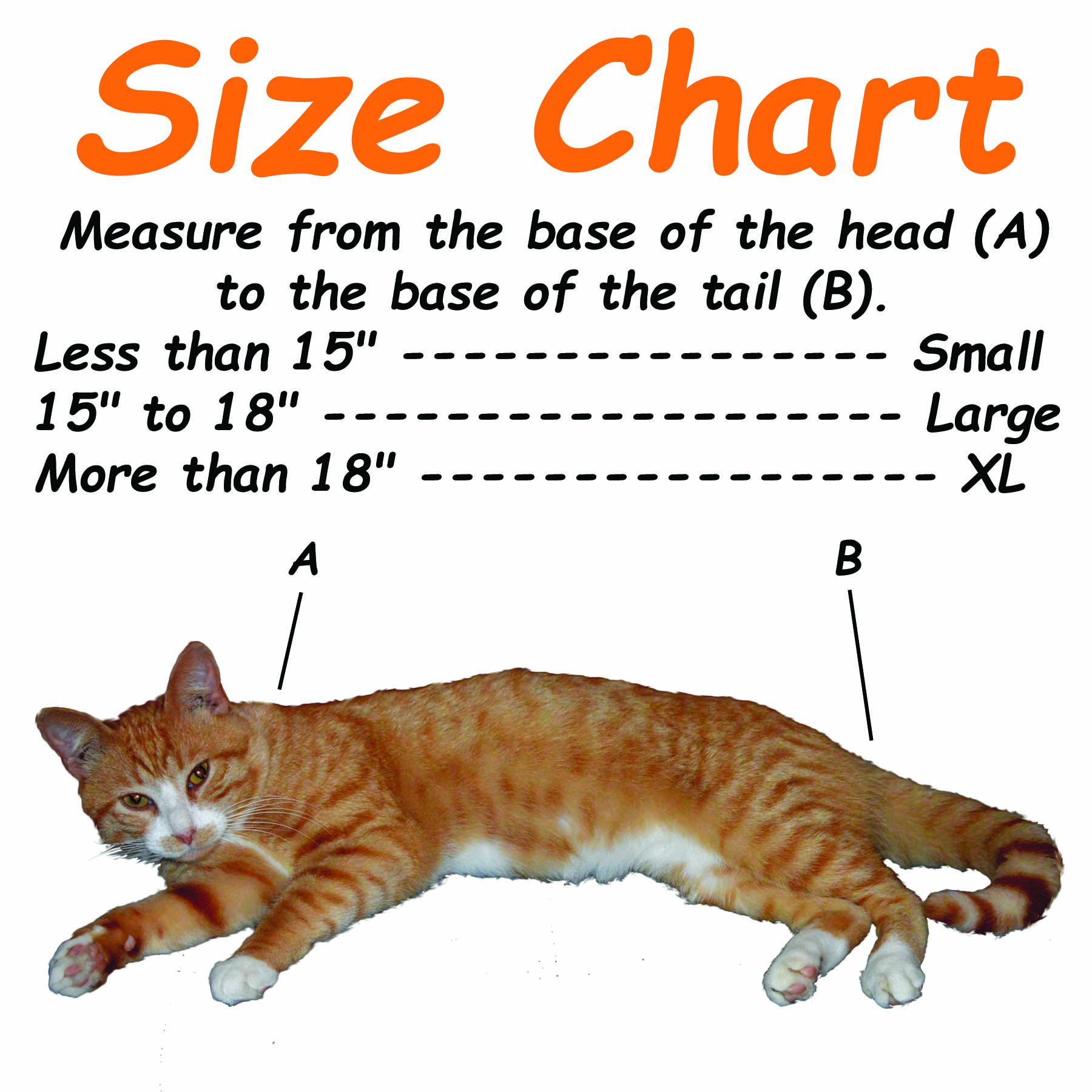 Mini Cats Size Chart