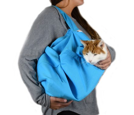 A light blue lightweight cat carrier