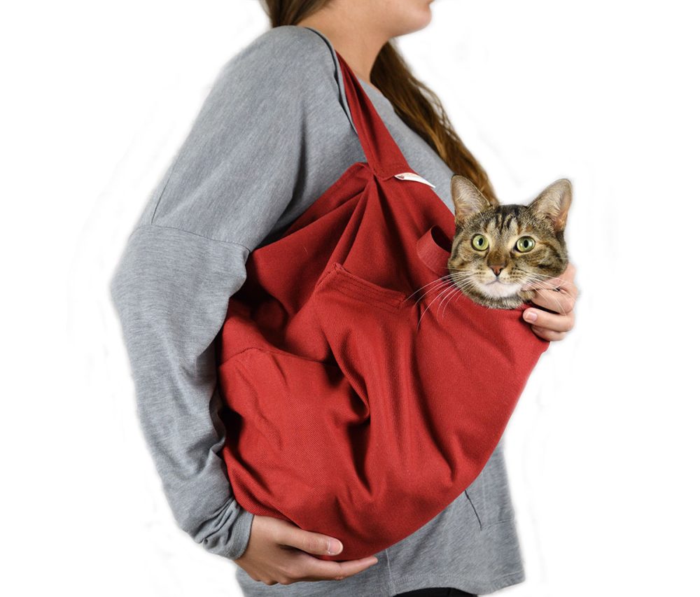 A red travel cat carrier