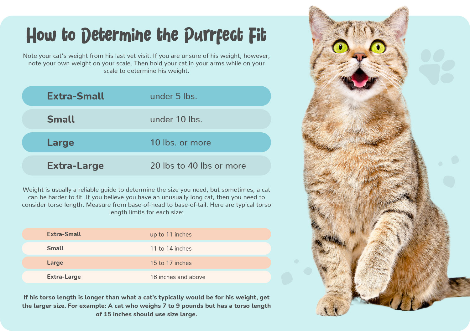 Sizing Chart