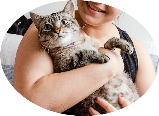 black cat and a smiling woman holding a cat on a couch