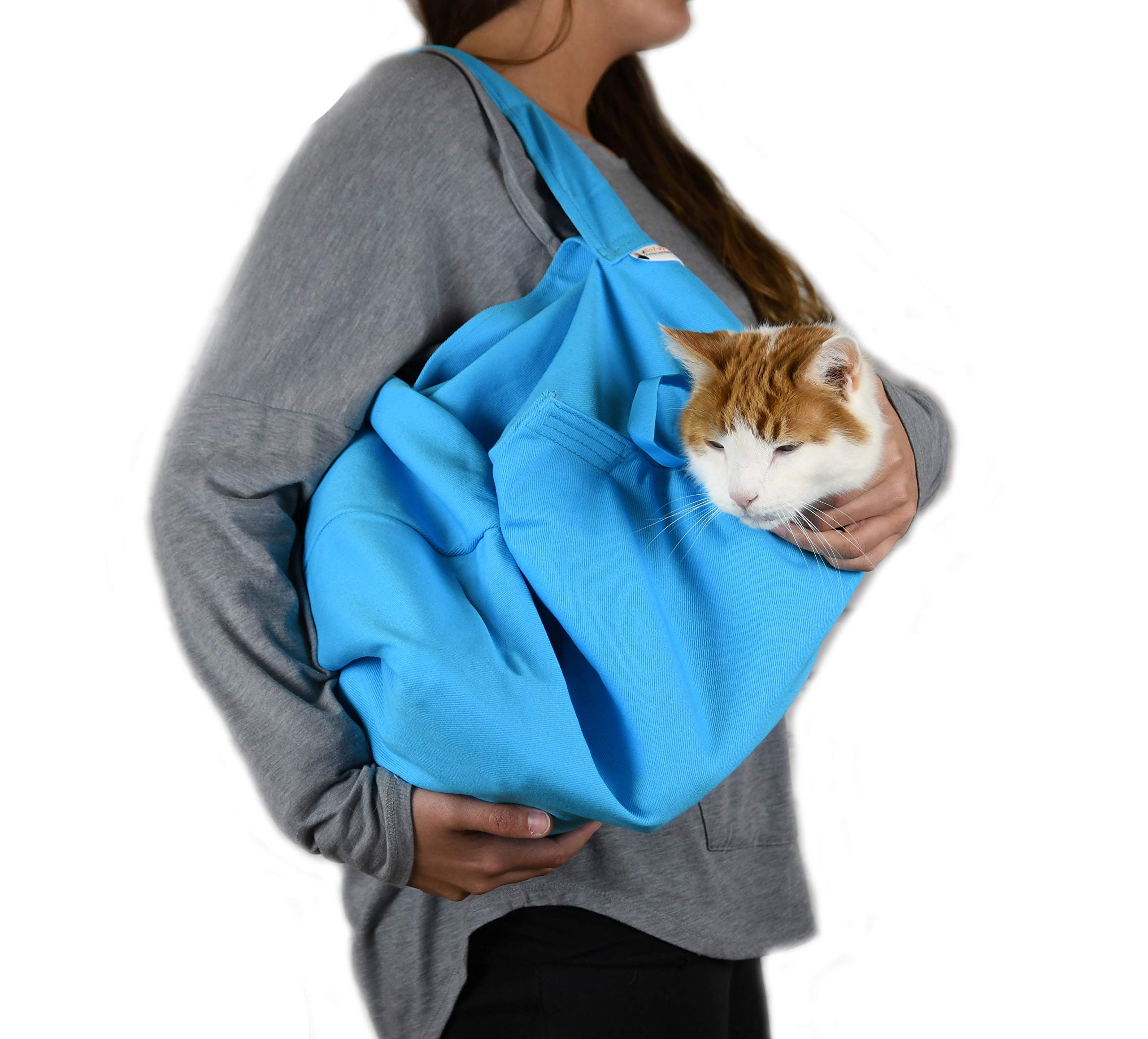 Extra large cat carrier in light blue