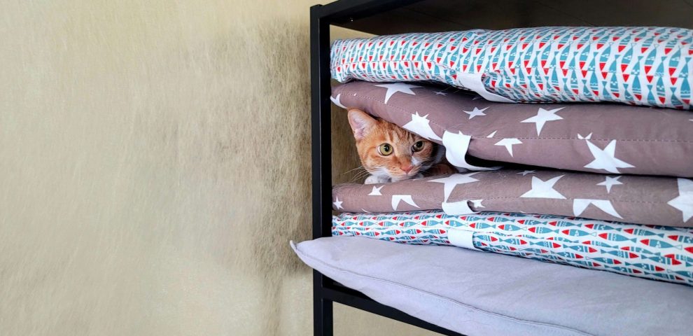 Anxious Cat hiding behind s stack of pillow